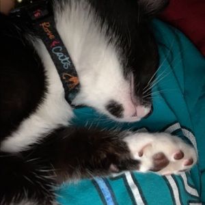 Meet your Posher, Alae